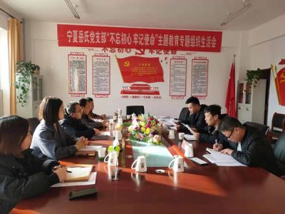 寧夏岳氏黨支部召開“不忘初心，牢記使命”主題教育專題組織生活會(huì)